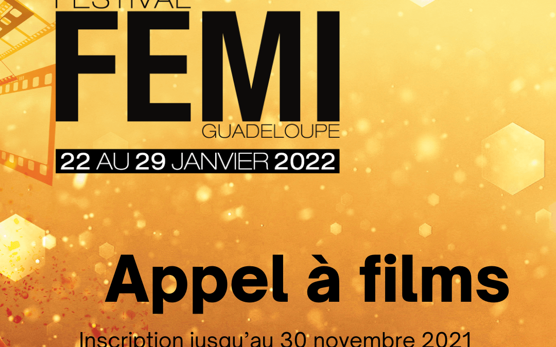 Appel à Films FEMI 2022