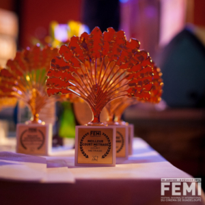 Trophées FEMI Festival